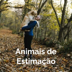 Animais de Estimação: Registamos a alegria e a personalidade dos seus companheiros de quatro patas.